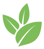 Hedge Trimming Service