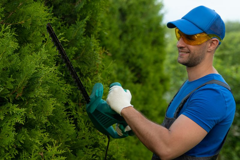 Hedge Trimming Service