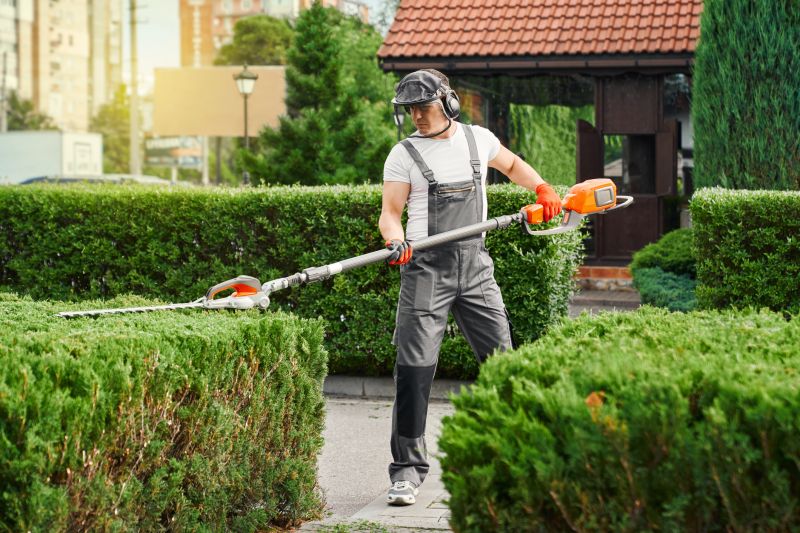 Hedge Trimming Service