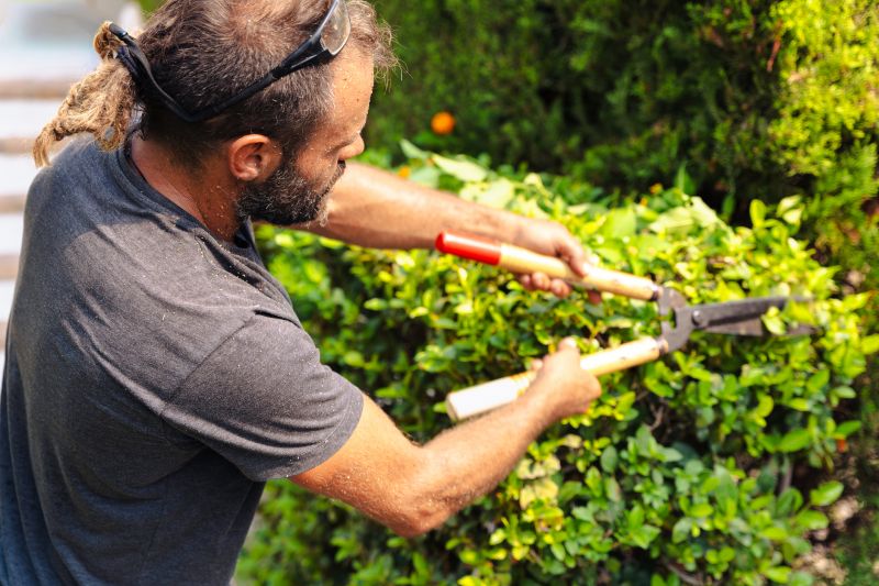 Hedge Trimming Service