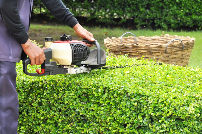 Hedge Trimming Service