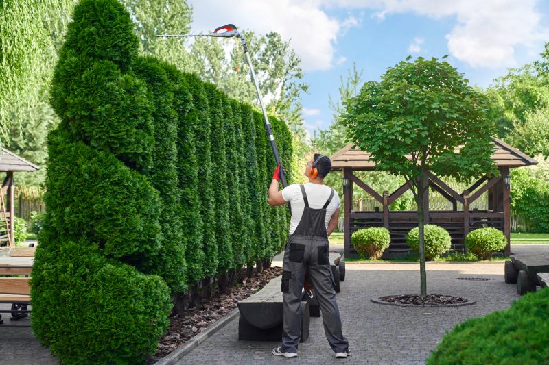 Hedge Trimming Service