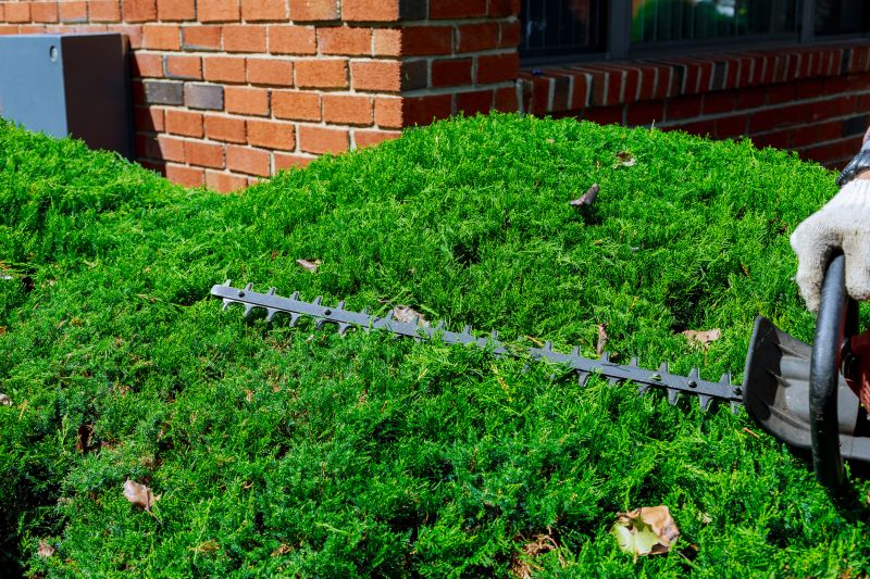 Who Does Hedge Trimming Service