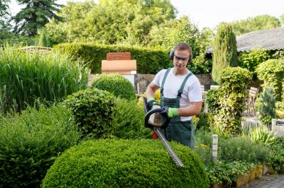 Who Does Hedge Trimming Service