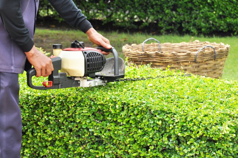 Who Does Hedge Trimming Service